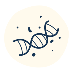 Illustrated icon of a DNA strand