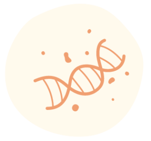 Illustrated icon of a strand of DNA