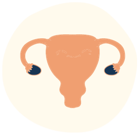 Illustrated icon of a uterus/womb