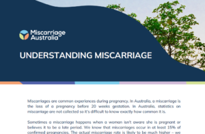 This a screenshot of the Understanding Miscarriage Fact Sheet